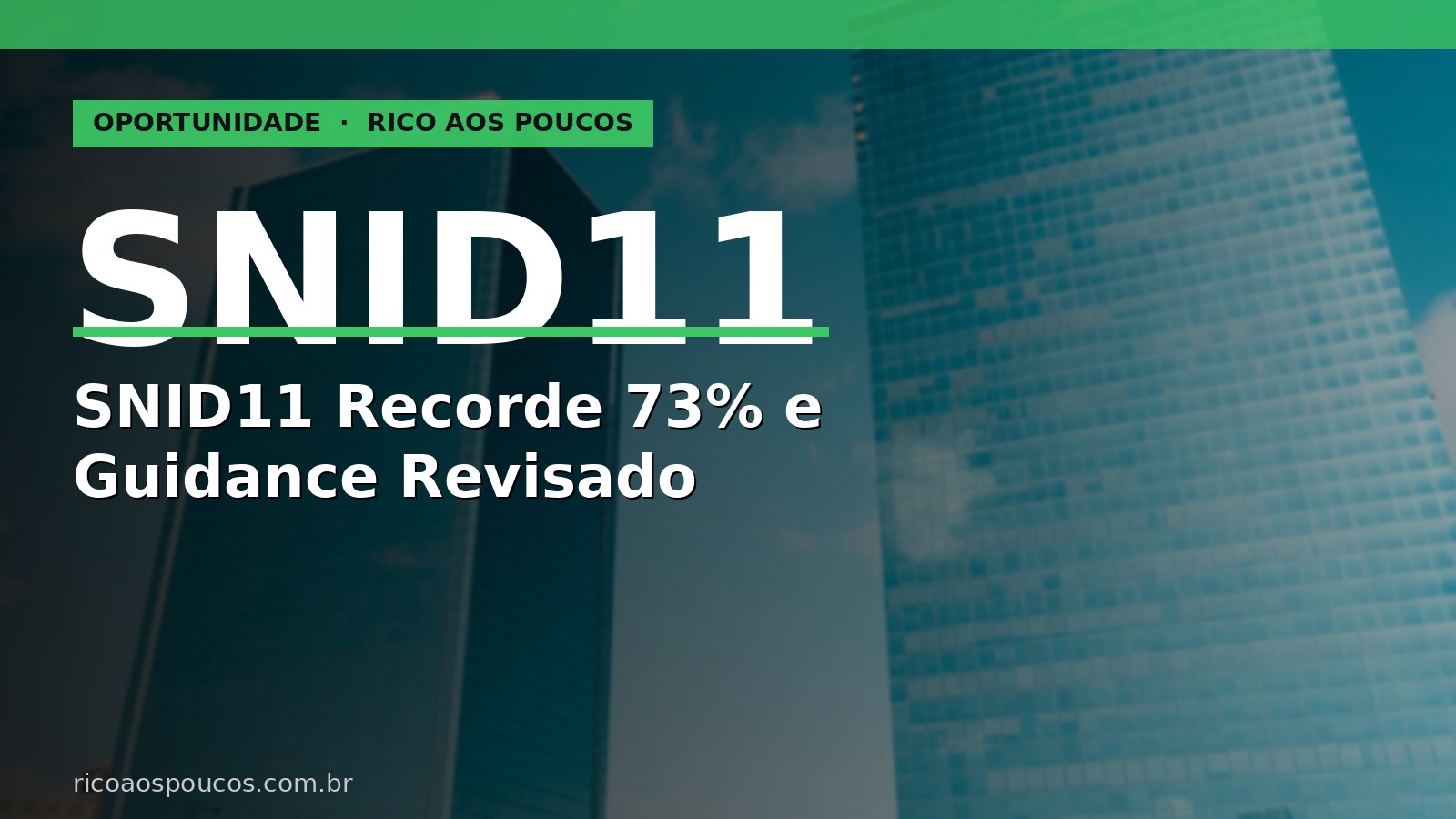 SNID11 bate recorde de 73% e revisa guidance para cima — o que muda para o cotista