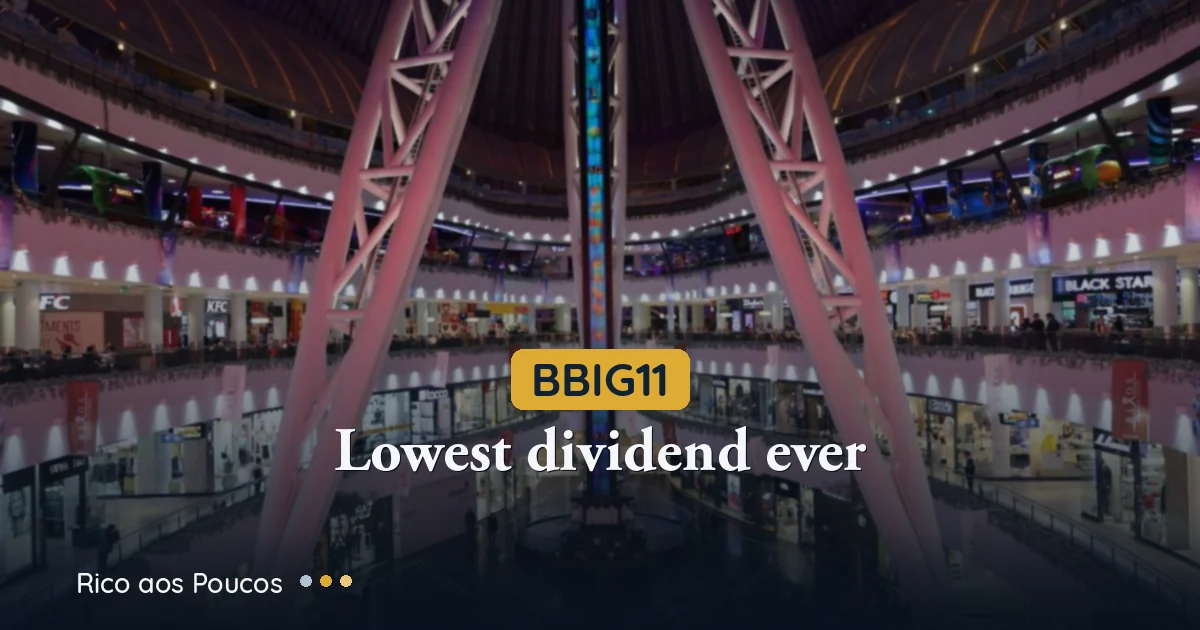 BBIG11 despenca 4,4%: fundo anuncia menor dividendo da história