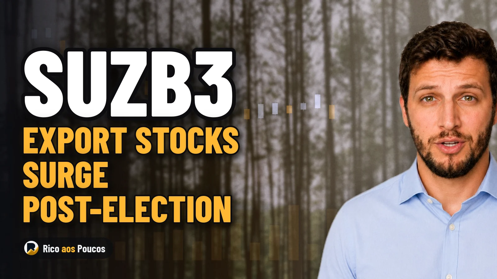SUZB3, EMBJ3, and WEGE3: Why These Stocks Surged Up to 8.8% as the Ibovespa Dropped