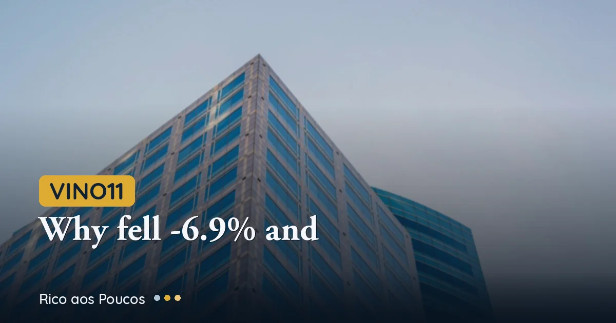 VINO11: Por que caiu -6,9% e qual o preço justo?