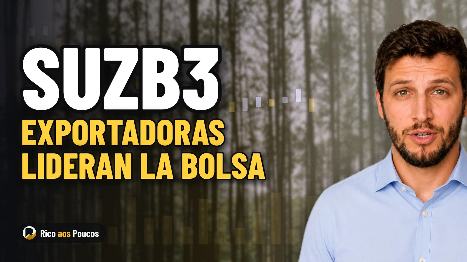 SUZB3, EMBJ3 y WEGE3: por qué se dispararon hasta un 8,8% con el Ibovespa a la baja